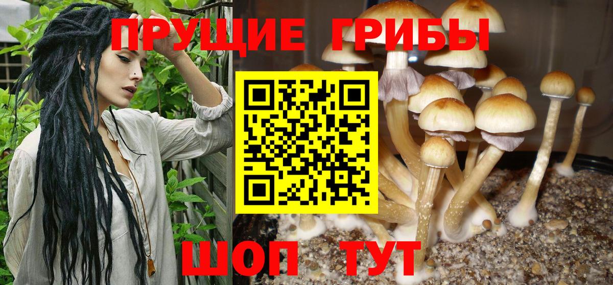 Вязьма  купить   Вход с VPN  Галлюциногенные грибы MAGIC MUSHROOMS 